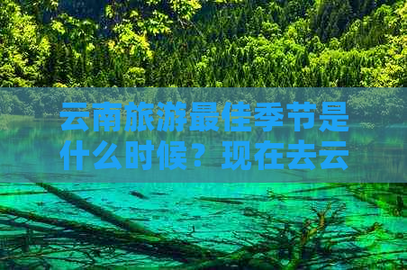 云南旅游更佳季节是什么时候？现在去云南有哪些注意事项？