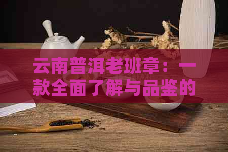 云南普洱老班章：一款全面了解与品鉴的茶叶指南