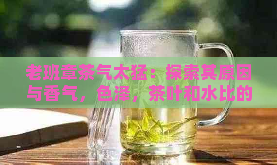 老班章茶气太猛：探索其原因与香气，色泽，茶叶和水比的影响