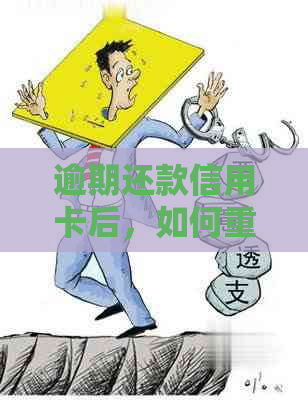 逾期还款信用卡后，如何重新启用并解决相关问题