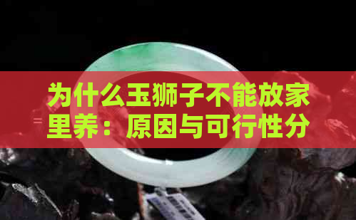 为什么玉狮子不能放家里养：原因与可行性分析