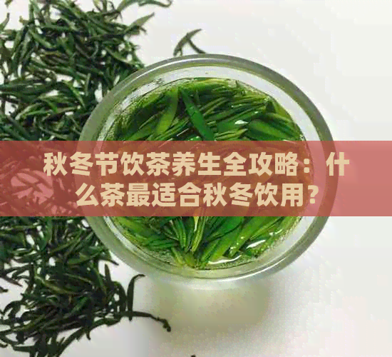 秋冬节饮茶养生全攻略：什么茶最适合秋冬饮用？