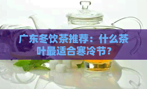 广东冬饮茶推荐：什么茶叶最适合寒冷节？