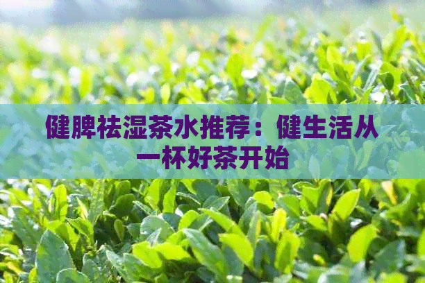 健脾祛湿茶水推荐：健生活从一杯好茶开始