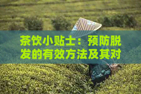 茶饮小贴士：预防脱发的有效方法及其对健的影响