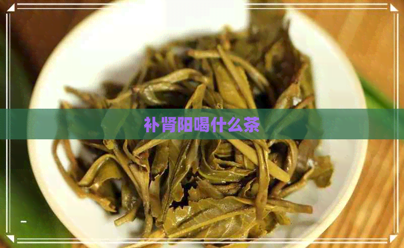 补肾阳喝什么茶