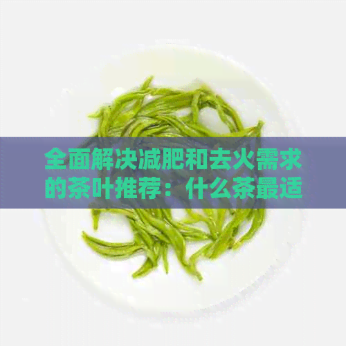 全面解决减肥和去火需求的茶叶推荐：什么茶最适合喝？