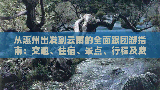 从惠州出发到云南的全面跟团游指南：交通、住宿、景点、行程及费用全解析