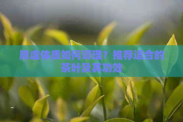 脾虚体质如何调理？推荐适合的茶叶及其功效