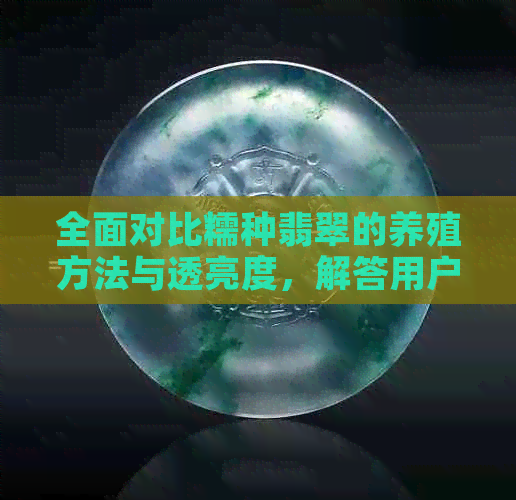 全面对比糯种翡翠的养殖方法与透亮度，解答用户关于翡翠养护的疑问