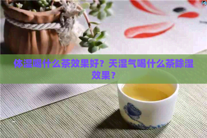 体湿喝什么茶效果好？天湿气喝什么茶除湿效果？