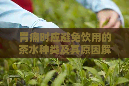 胃痛时应避免饮用的茶水种类及其原因解析：一份全面指南