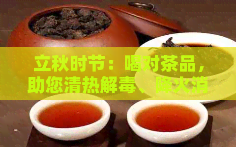 立秋时节：喝对茶品，助您清热解、降火消暑