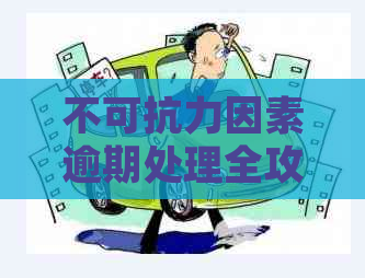 不可抗力因素逾期处理全攻略：应对违法行为与贷款误