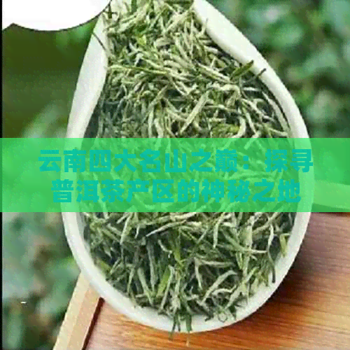 云南四大名山之巅：探寻普洱茶产区的神秘之地