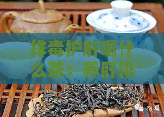 排护肝喝什么茶：养肝排，护肝排肝的茶推荐及保肝护肝效果