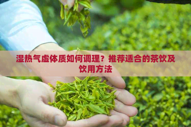 湿热气虚体质如何调理？推荐适合的茶饮及饮用方法