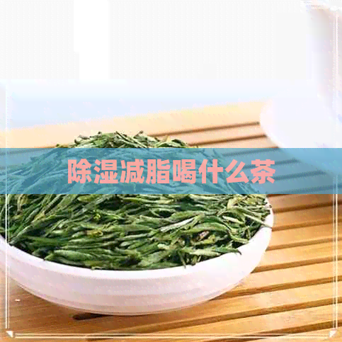 除湿减脂喝什么茶