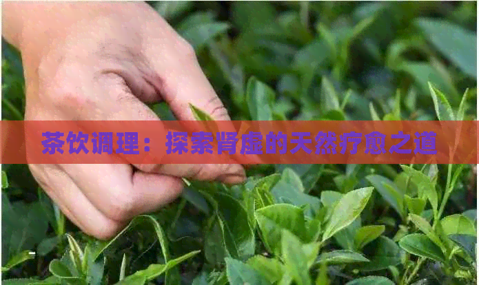 茶饮调理：探索肾虚的天然疗愈之道