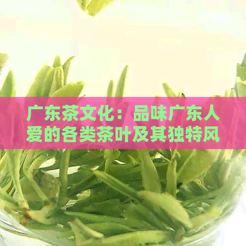 广东茶文化：品味广东人爱的各类茶叶及其独特风味