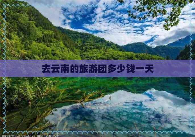 去云南的旅游团多少钱一天