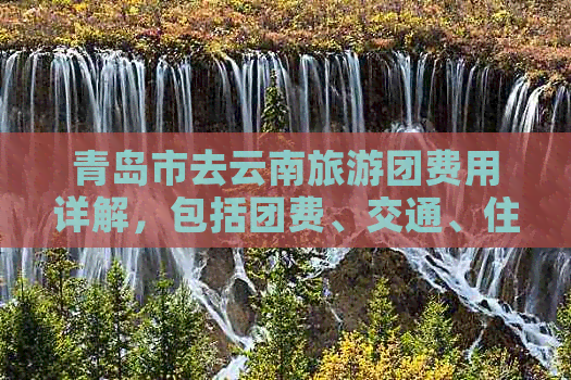 青岛市去云南旅游团费用详解，包括团费、交通、住宿等全面信息