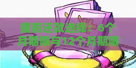 提前还款选择：6个月期限与12个月期限的优劣分析与比较