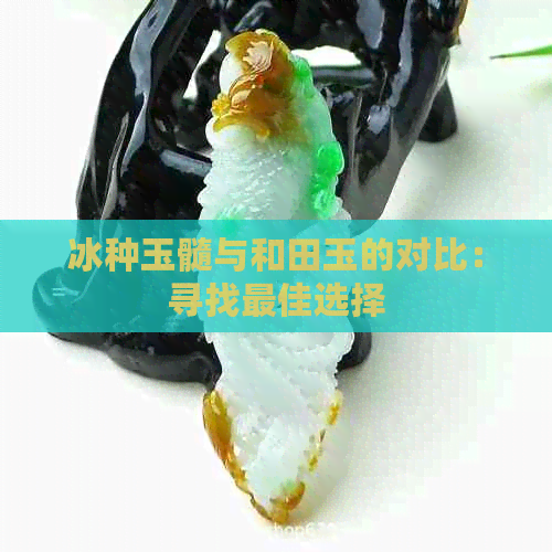 冰种玉髓与和田玉的对比：寻找更佳选择