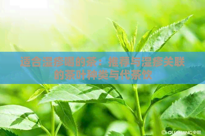 适合湿疹喝的茶：推荐与湿疹关联的茶叶种类与代茶饮