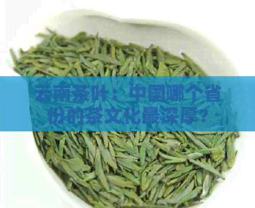 云南茶叶：中国哪个省份的茶文化最深厚？