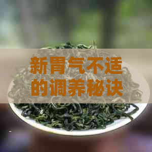 新胃气不适的调养秘诀：一杯茶的健选择