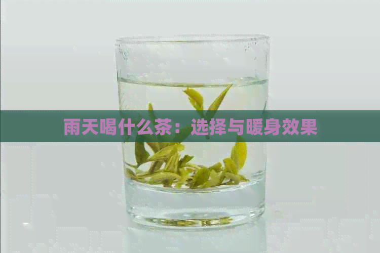 雨天喝什么茶：选择与暖身效果