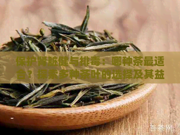 保护肾脏健与排：哪种茶最适合？探索多种茶叶的选择及其益处