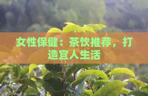 女性保健：茶饮推荐，打造宜人生活