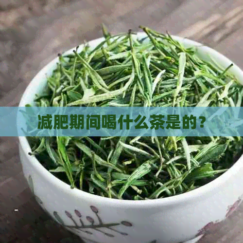 减肥期间喝什么茶是的？