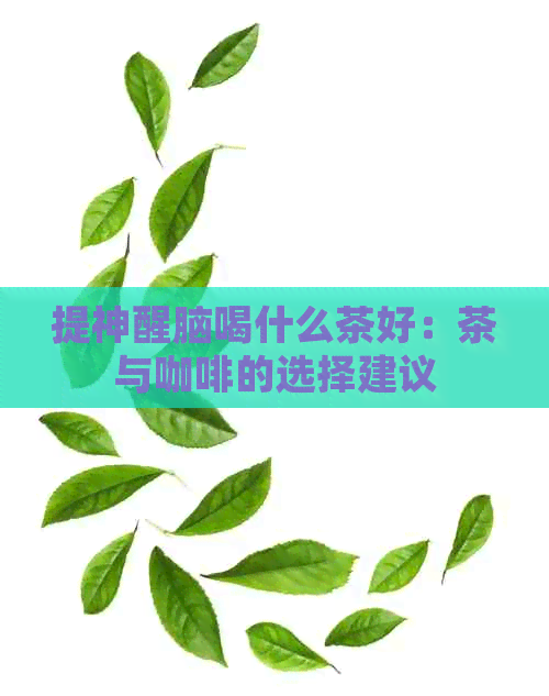 提神醒脑喝什么茶好：茶与咖啡的选择建议