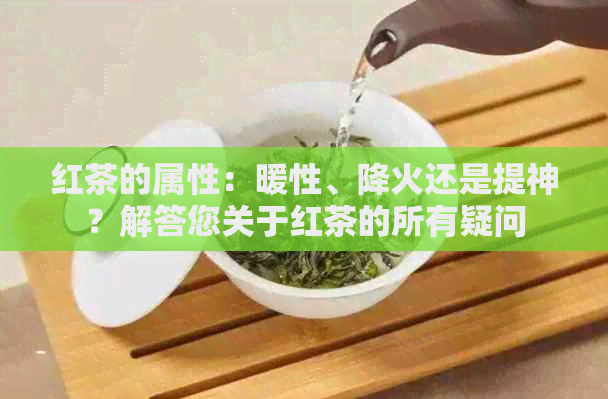 红茶的属性：暖性、降火还是提神？解答您关于红茶的所有疑问