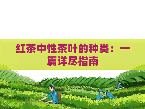 红茶中性茶叶的种类：一篇详尽指南