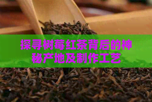 探寻树莓红茶背后的神秘产地及制作工艺