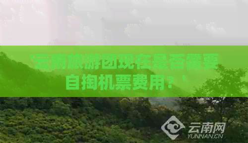 '云南旅游团现在是否需要自掏机票费用？'