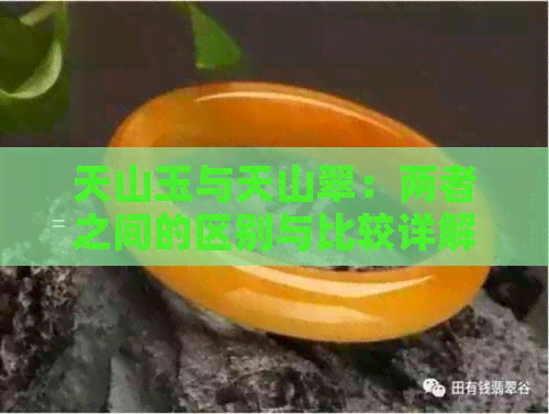 天山玉与天山翠：两者之间的区别与比较详解