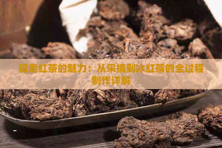 探索红茶的魅力：从采摘到冰红茶的全过程制作详解