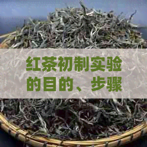 红茶初制实验的目的、步骤及对茶叶品质和消费者体验的影响：一个全面解析