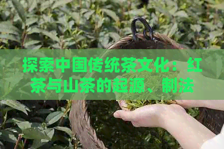 探索中国传统茶文化：红茶与山茶的起源、制法及其历背景