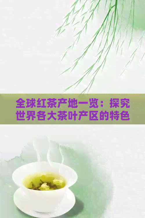 全球红茶产地一览：探究世界各大茶叶产区的特色与风味