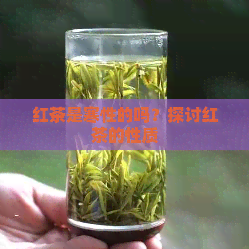 红茶是寒性的吗？探讨红茶的性质