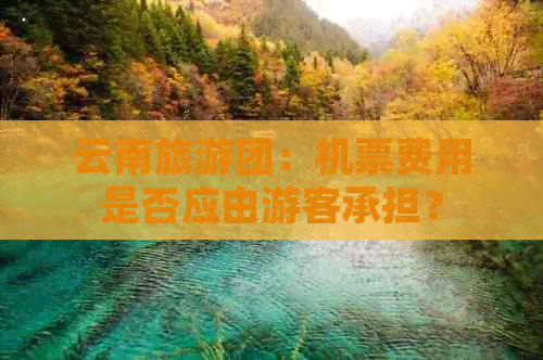 云南旅游团：机票费用是否应由游客承担？