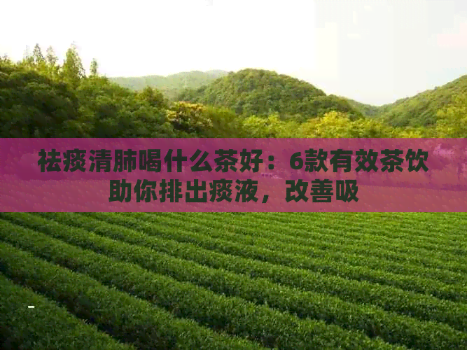 祛痰清肺喝什么茶好：6款有效茶饮助你排出痰液，改善吸