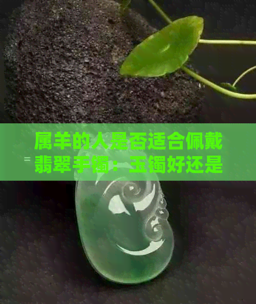 属羊的人是否适合佩戴翡翠手镯：玉镯好还是不好？