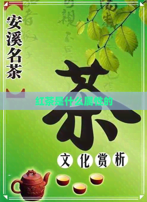 红茶是什么属性的